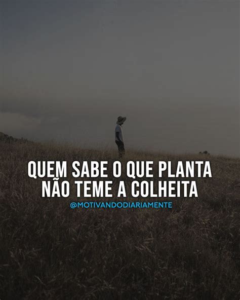 Lei Da Semeadura Quem Planta Coisas Boas Colhe Coisas Boas Frases