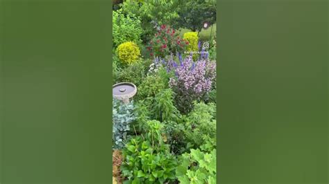 4 Season Garden 🌸🌱 ️🍂 - YouTube