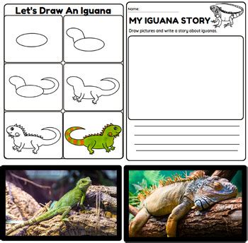 Learn To Draw Iguana Reptile Drawing Coloring Bingo Dot Marker Writing