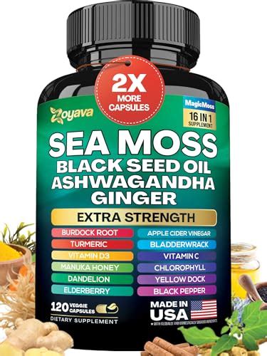 I Tested Zoyava Sea Moss Supplement Here S My Honest Review