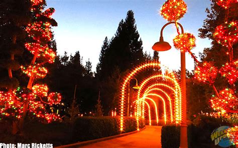 Micechat Destinations Features Gilroy Gardens Holiday Lights