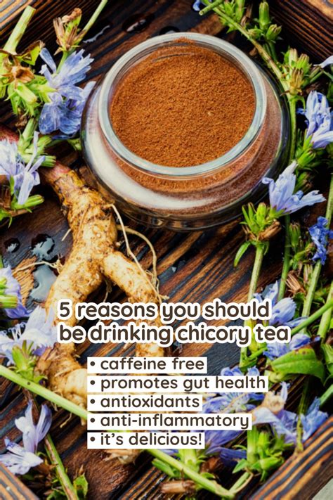 Is Chicory Good For You? The Healthiest and Most Delicious Alternative ...