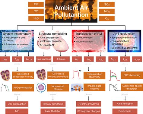 Frontiers Air Pollution And Cardiac Arrhythmias From Epidemiological