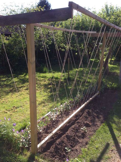 Support For My Runner Beans Diy Garden Trellis Diy Garden Bed Garden