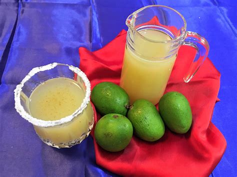 Homemade Aam Panna Recipe- Foodie-Trail