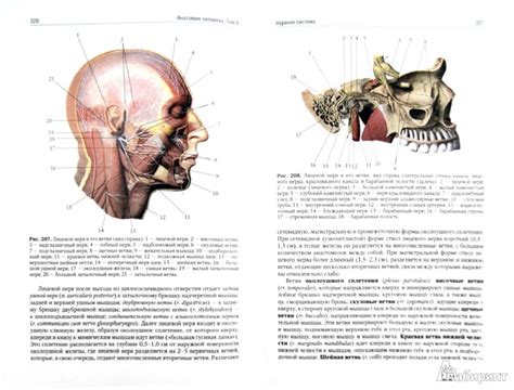 Анатомия человека. Учебник. В 2-х томах. Том 2 - Сапин Михаил Романович ...