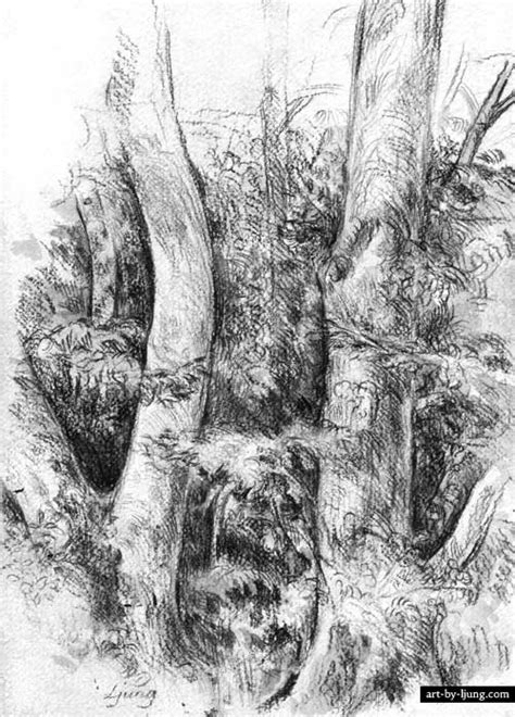 Pencil Drawing Of A Forest at PaintingValley.com | Explore collection of Pencil Drawing Of A Forest