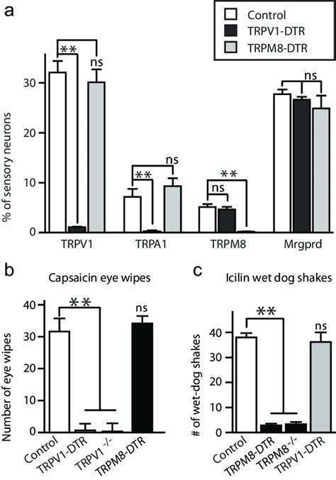 Specific Ablation Of Sensory Neurons Is Achieved By DT Treatment Of