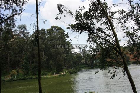 Ooty Lake Photograph