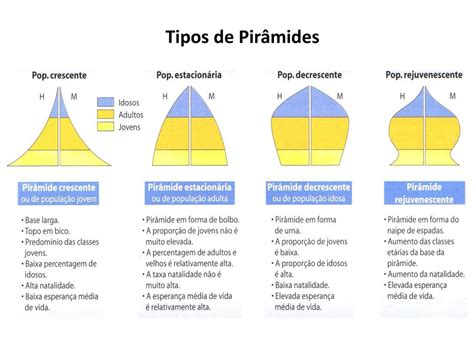 Tipos De Pirâmide Etária - PPT - A ESTRUTURA ETÁRIA DA POPULAÇÃO PowerPoint Presentation, free ...