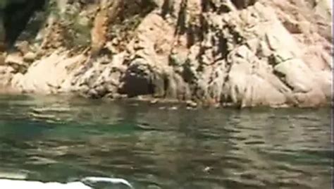 Le Cadeau D Anna Free Porn Video Bd XHamster