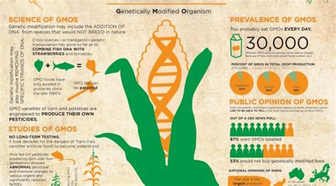 GMO Health News