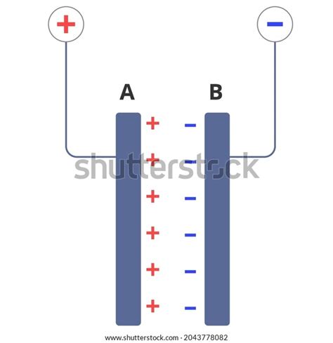 Capacitor Appearance Vector Illustration Capacitor Diagram Stock Vector Royalty Free