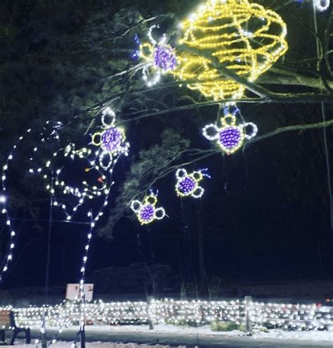 ULTIMATE Guide to the Detroit Zoo Lights in 2023