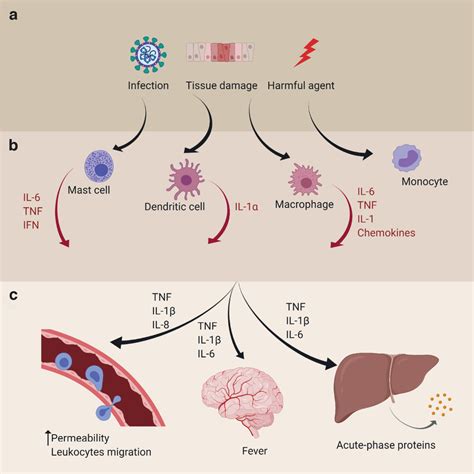 Sensing Inflammation Biomarkers With Electrolytegated Organic