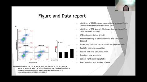 Flow Cytometry Youtube