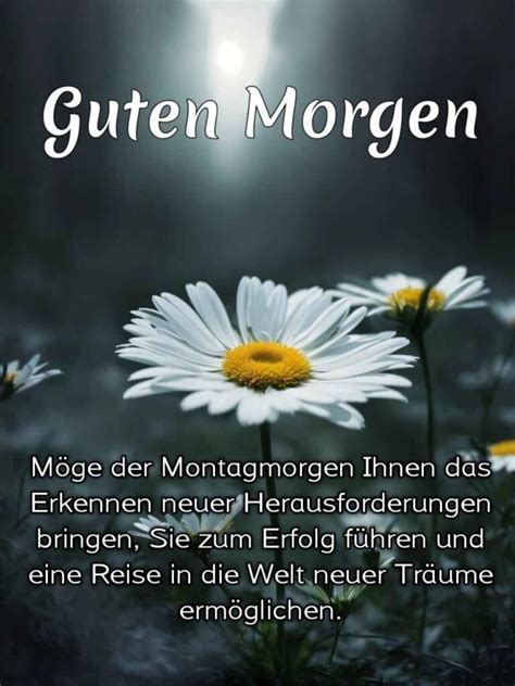 5000guten Morgen Montag Bilder Kostenlos