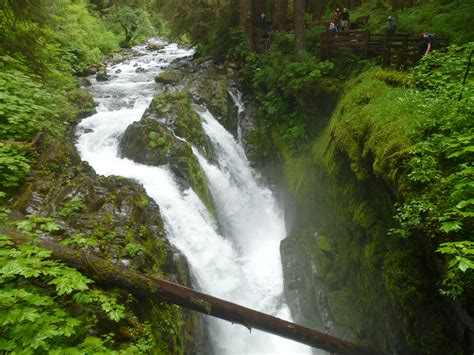 Hiking Olympic National Park: Sol Duc Falls Trail - Park Chasers