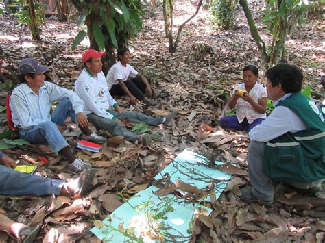 Senasa Escuelas De Campo Potencian Capacidades De Productores