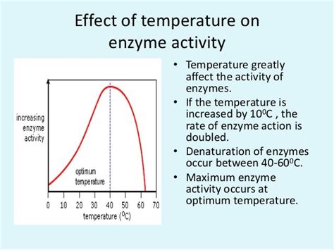 Biochemical Principles Of Enzyme Action