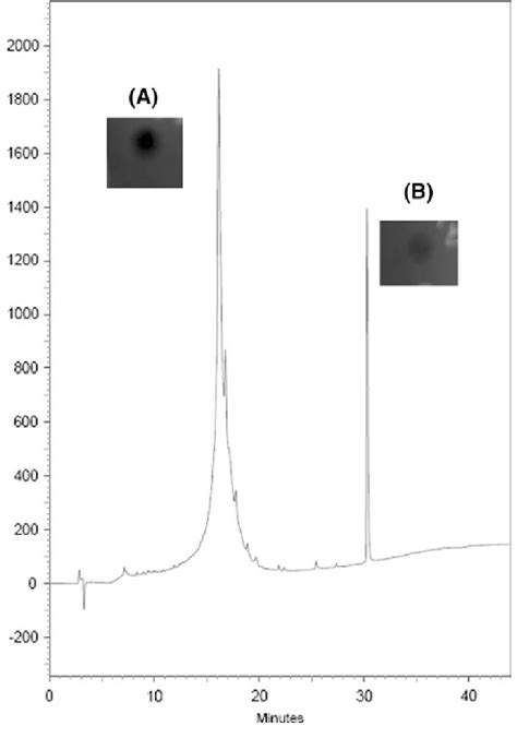 Reverse Phase Hplc Profile Of The Active Fractions The Inhibition Download Scientific Diagram