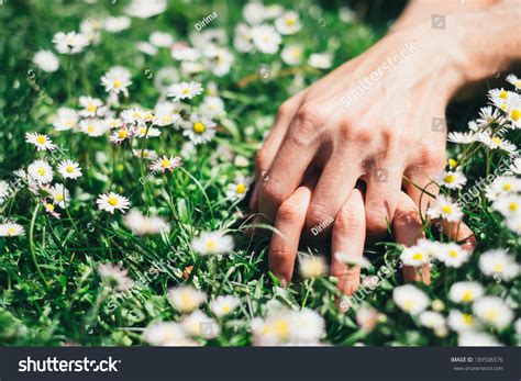 4 424 Couple sex park 图片库存照片和矢量图 Shutterstock