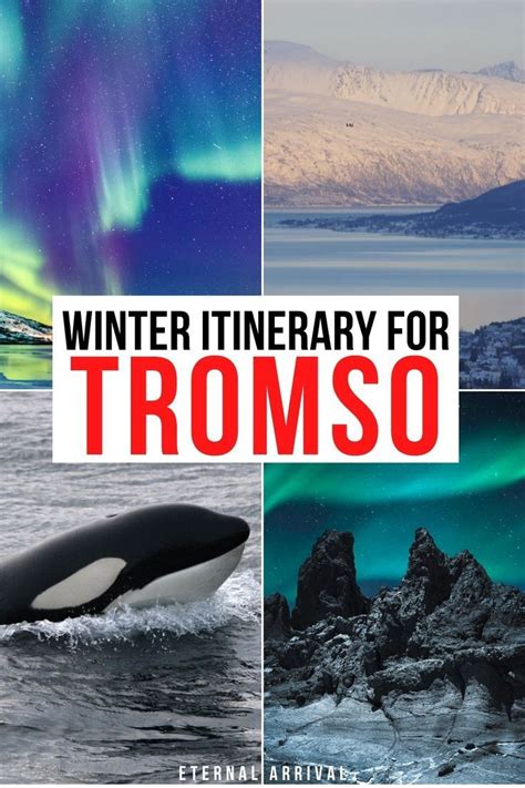 How To Plan A Winter Tromso Itinerary For 1 To 5 Days 2024 Update