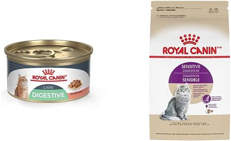 Amazon Royal Canin Bundle Digestive Care Thin Slices In Gravy Wet