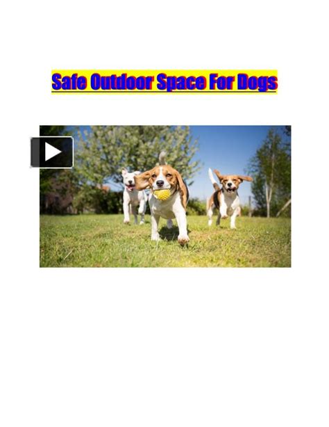 Ppt Safe Outdoor Space For Dogs Powerpoint Presentation Free To