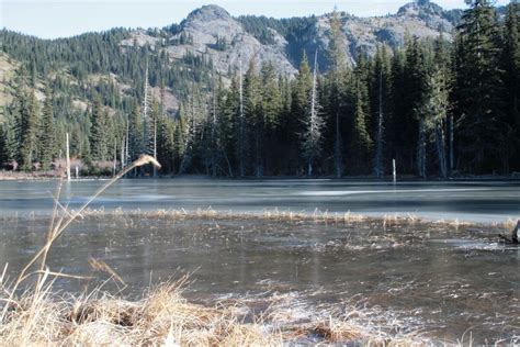 Nannie Ridge Sheep Lake Walupt Lake And Walupt Creek — Washington