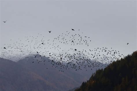 Herbstliche Stimmung Forum F R Naturfotografen