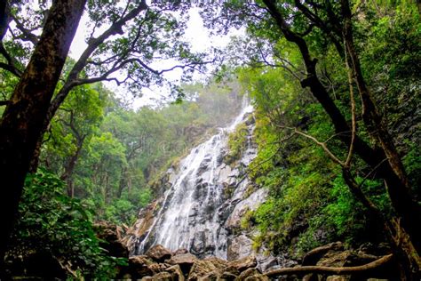 Waterfall By Boat Pachmarhi Madhya Pradesh Stock Image Image Of