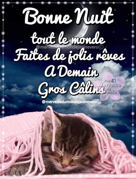 Pingl Par Mazef Anita Sur Bonne Nuit Bonne Nuit Nuit Gros Calin