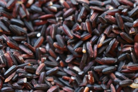 organic black rice australia  source bulk foods