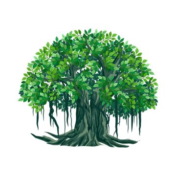 Banyan Tree PNG Transparent Images Free Download | Vector Files | Pngtree