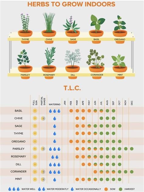 Horta Em Casa Para Cultivar Ervas E Temperos Artofit