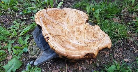 ИЗ-ЗА ЛЕСА ИЗ-ЗА ГОР