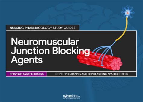 Neuromuscular Junction Blocking Agents Nursing Pharmacology