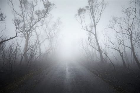 Fenomeni Della Natura Cos La Nebbia Focusjunior It