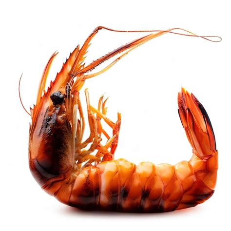 Premium Photo Roasted Prawn Isolated On White Background