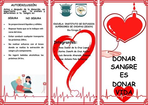 Donar Sangre Es Donar Vida Isabel De La Cruz Lopez UDocz