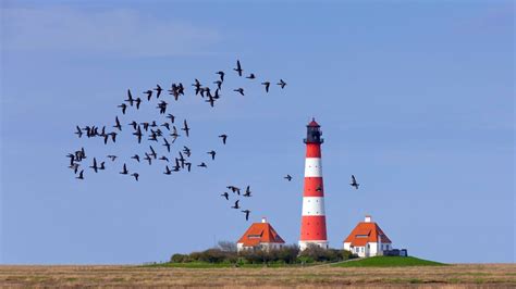 Naturschutz Warum Umweltverb Nde Gegen Windr Der Sturm Laufen