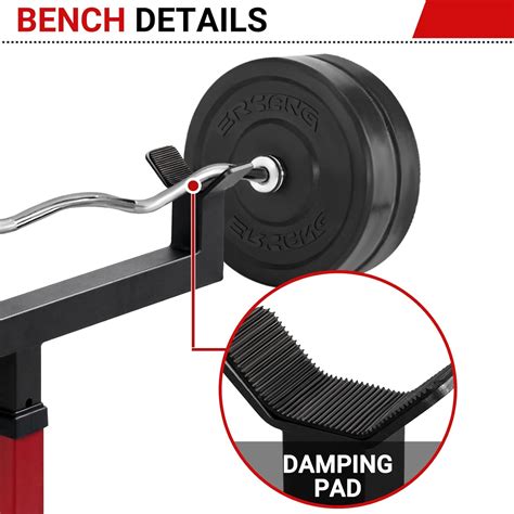 Buy Er Kang Adjustable Weight Bench Preacher Curl Bench Roman Chair