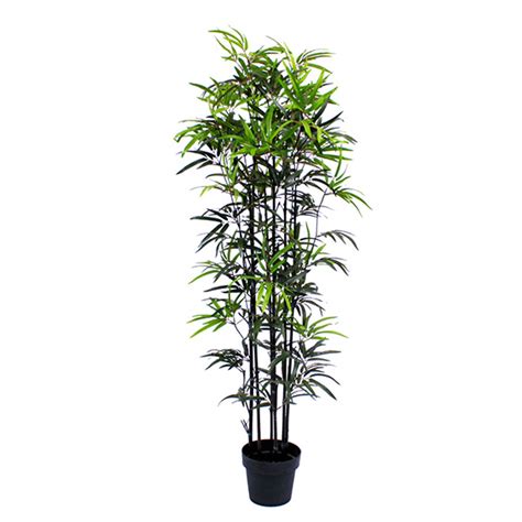 Plant Artificial Black Stem Bamboo Plant Prop Icatching