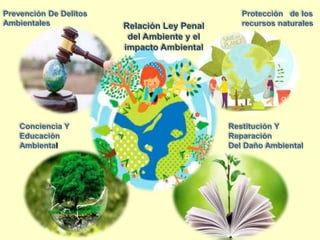 Ley Penal Del Ambiente Pptx