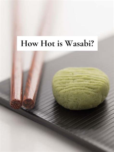 How Hot Is Wasabi Spiciness On The Scoville Scale Explained