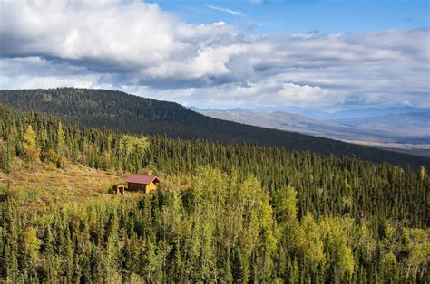 Site Eleazars White Mountains National Recreation Area Alaska Cabins