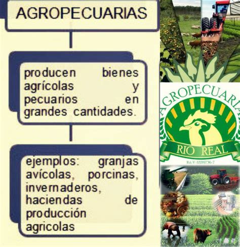 Empresas Agropecuarias Empresas Empresa Invernaderos