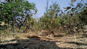 Tarzan Boy Nude Safar In Jungle XNXX