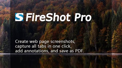 Making Full Web Page Screenshots With FireShot Pro YouTube